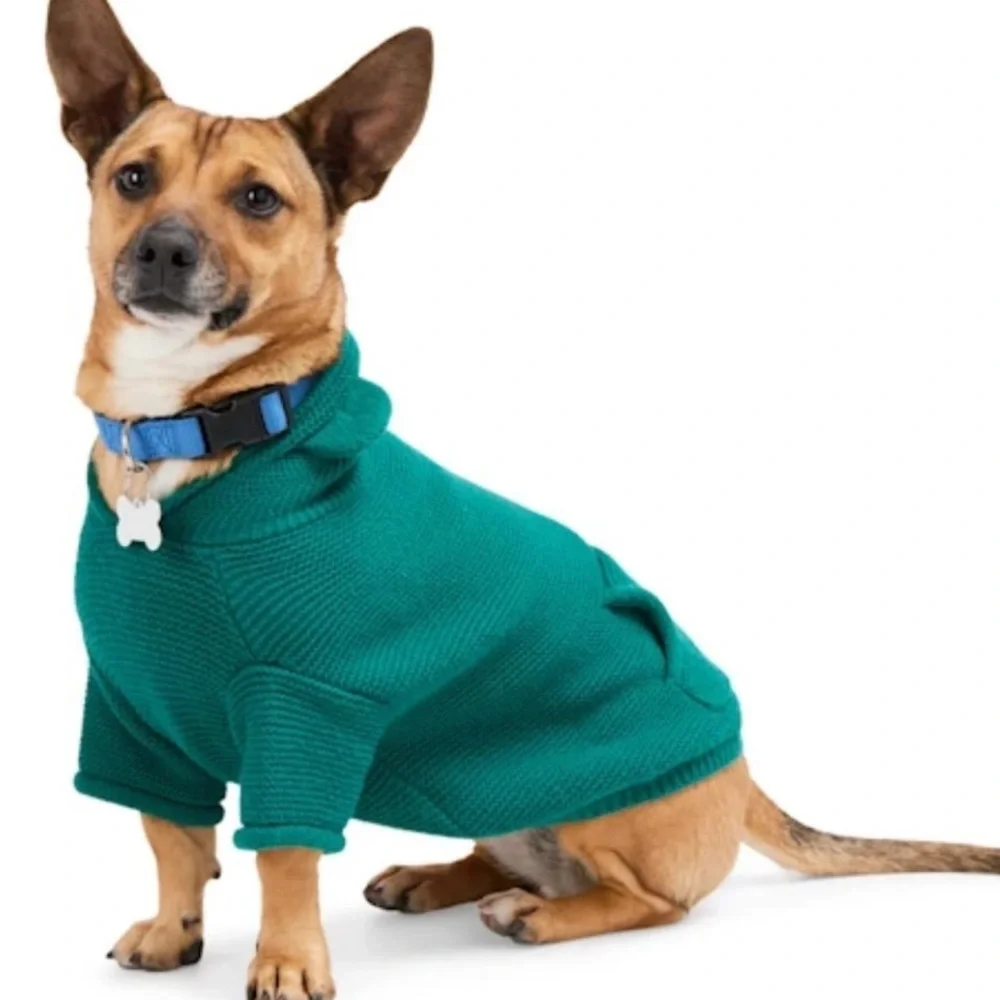 New Teddy hoodie green dog sweater XXS